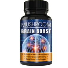 Mushroom-Brain-Boost.jpg